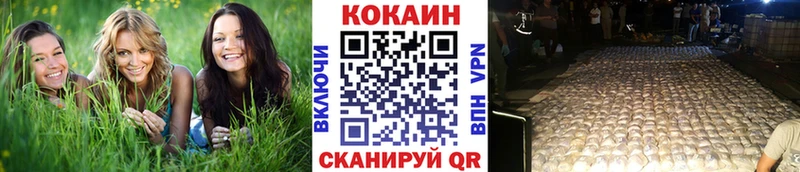КОКАИН Fish Scale  Купить закладки  Шебекино 