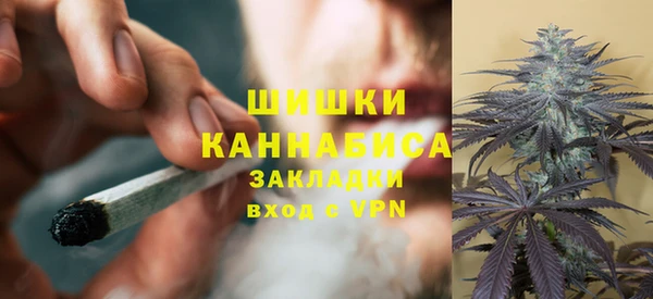 стафф Ладушкин