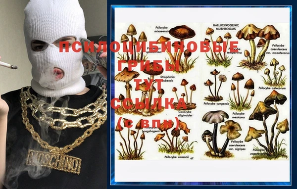 амф Лабытнанги