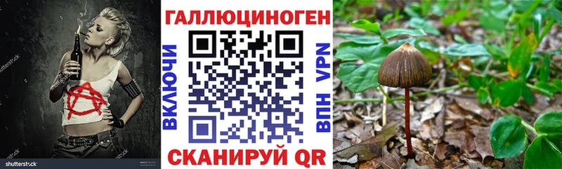 Псилоцибиновые грибы GOLDEN TEACHER  Купить где  Шебекино 